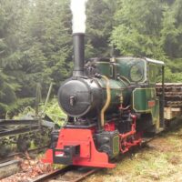 Kulisy lesní železnice