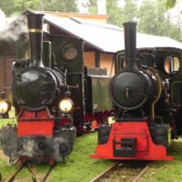 Kolegyně z Polska (40 hp ale s tendrem)